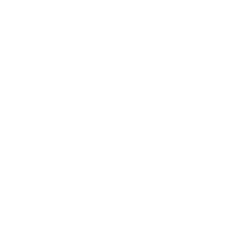 SECTEURX 250